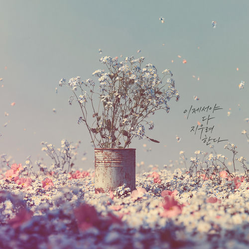 At Last, I Let You Go