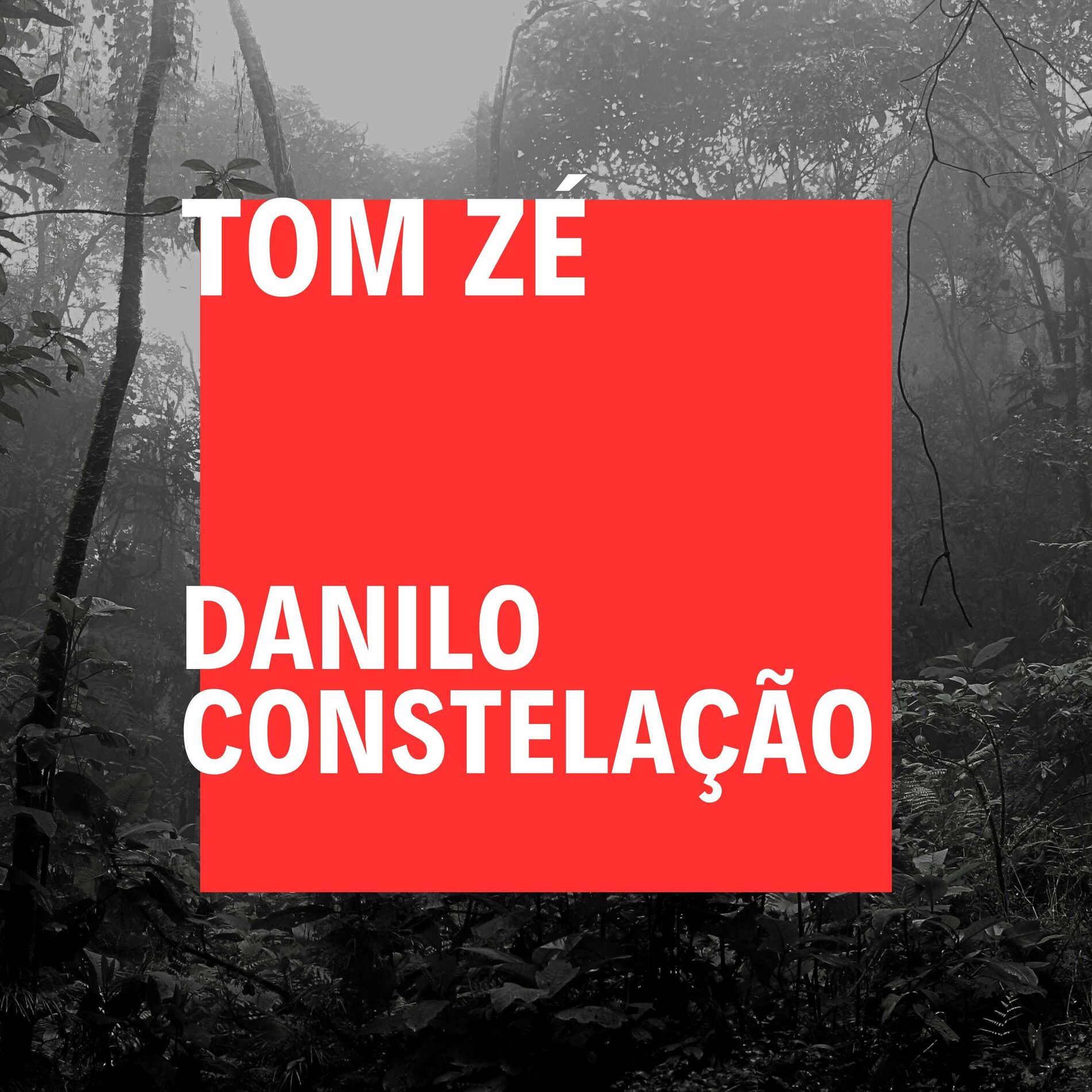 Album cover of Danilo Constelação