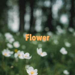Cover of Flower