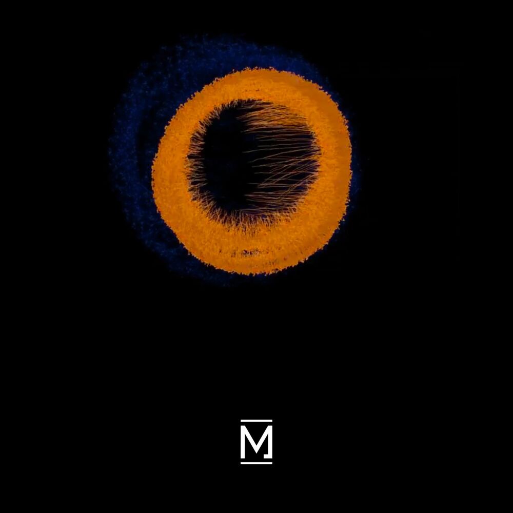 Picture of Eye of the Beholder