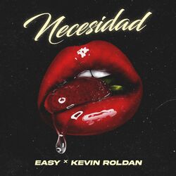 Cover of NECESIDAD