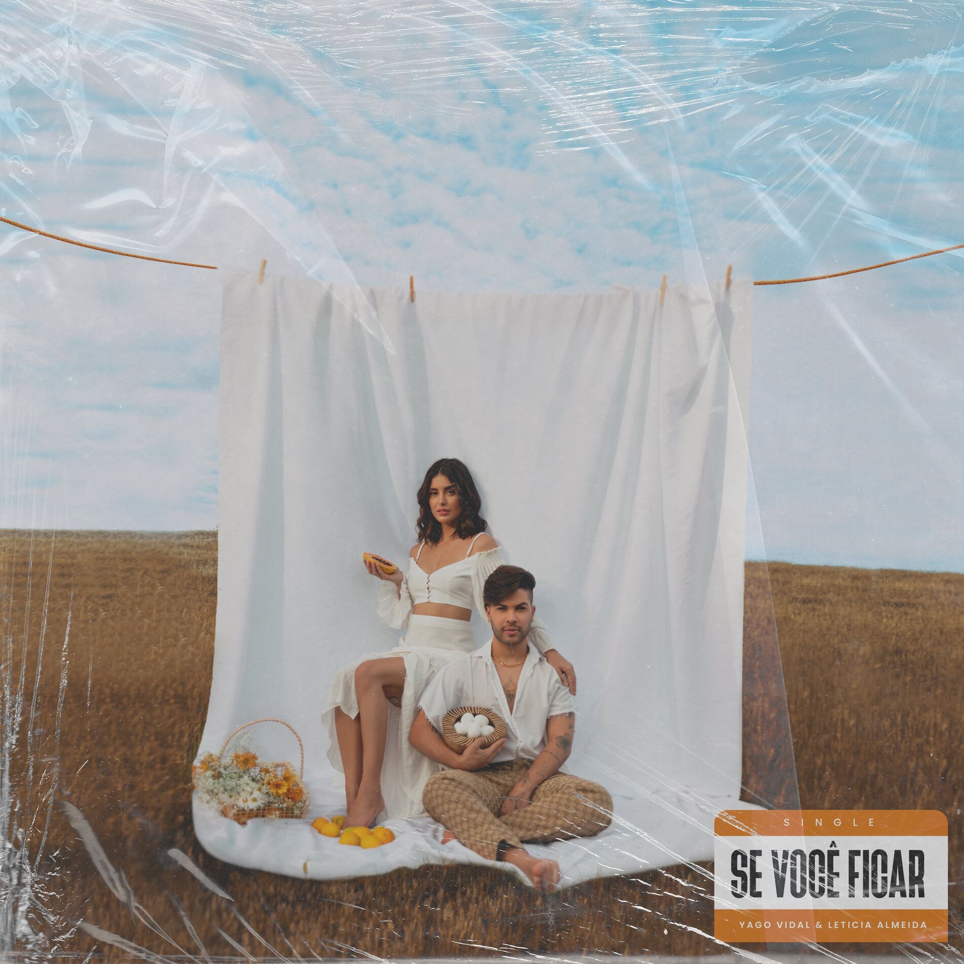 Album cover of Se Você Ficar
