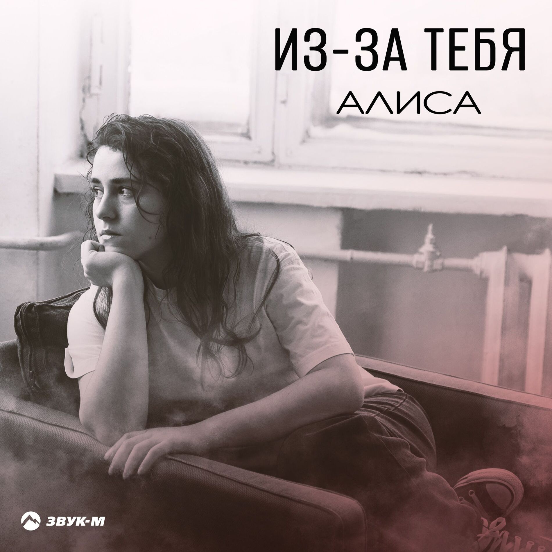 Album cover of Из-за тебя