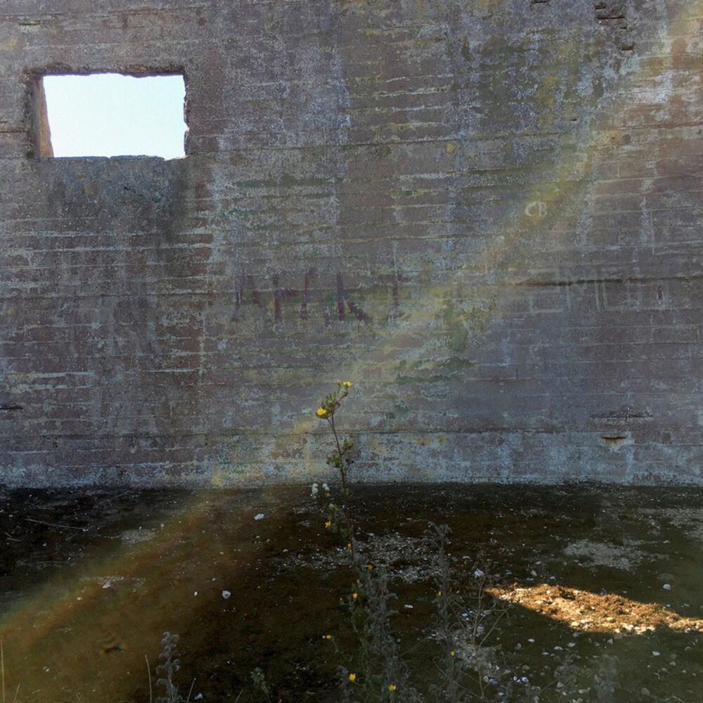 Picture of In Search of the Miraculous