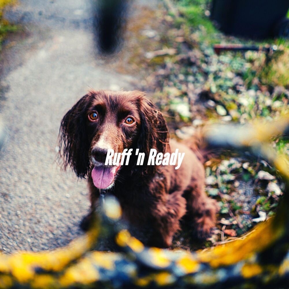 Picture of Ruff 'n Ready
