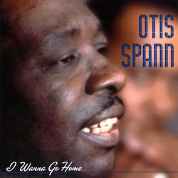 Cover of Heritage Of The Blues: I Wanna Go Home