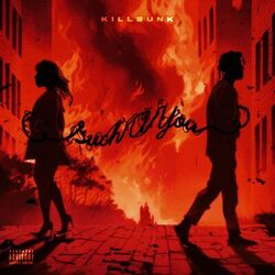 Cover of Such a You