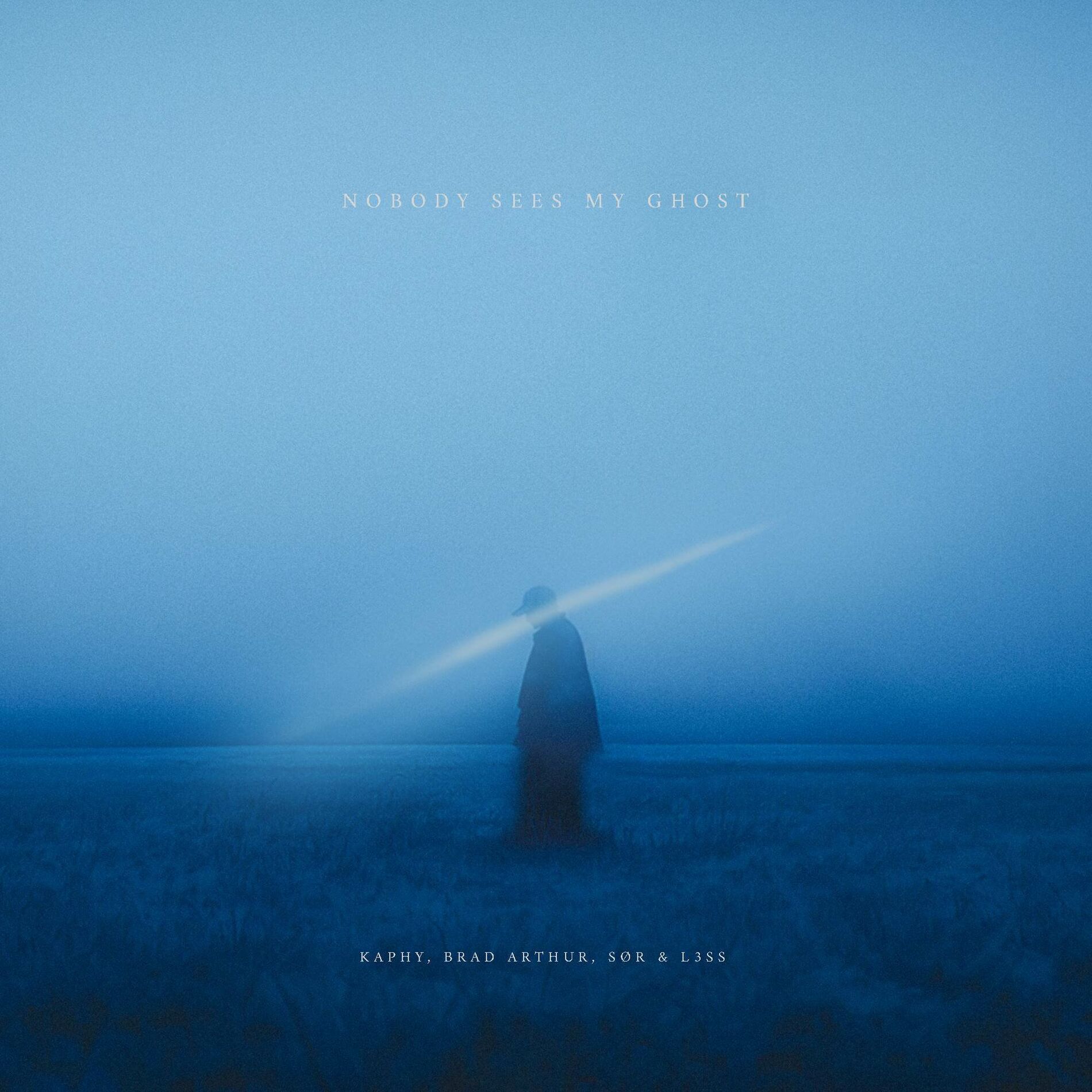 Album cover of Nobody Sees My Ghost