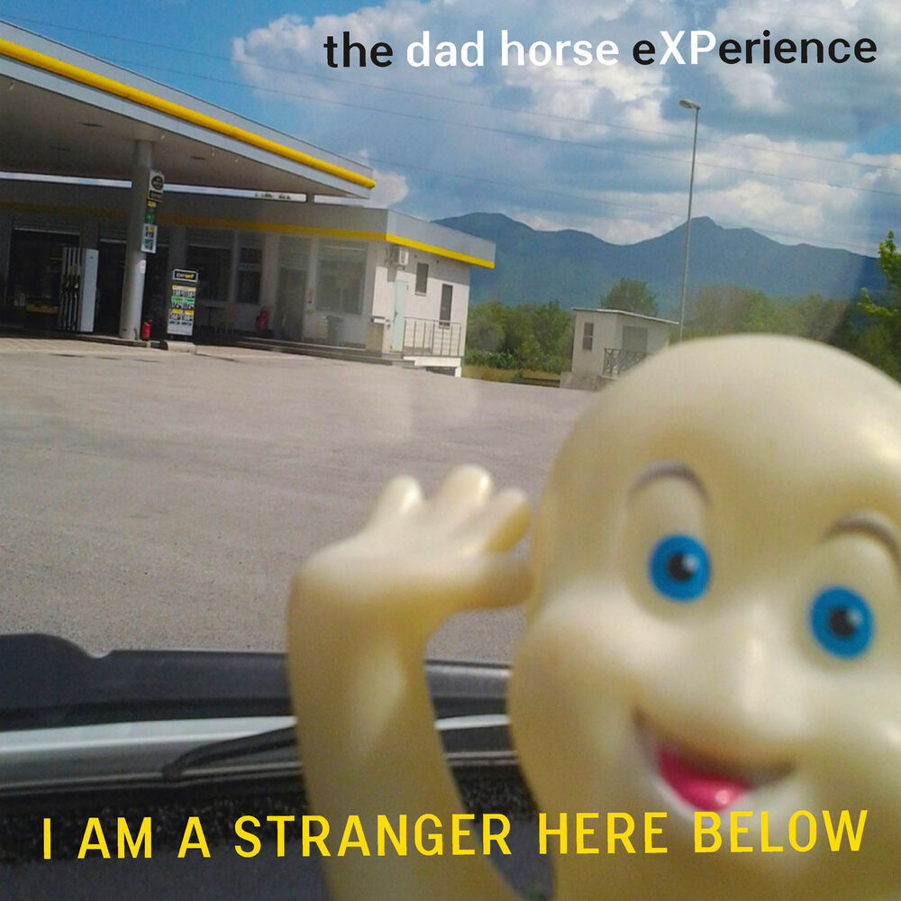 Picture of I Am a Stranger Here Below