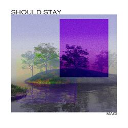Cover of Should Stay