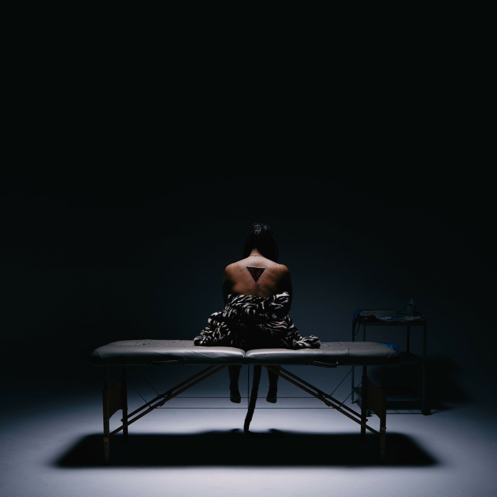 Album cover of Black Triangle