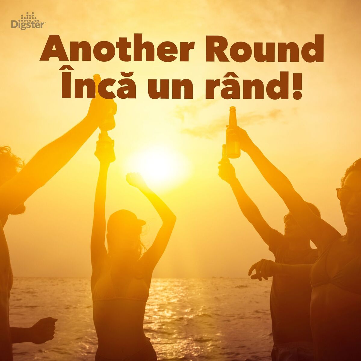 Album cover of Another Round - Încă un rând!
