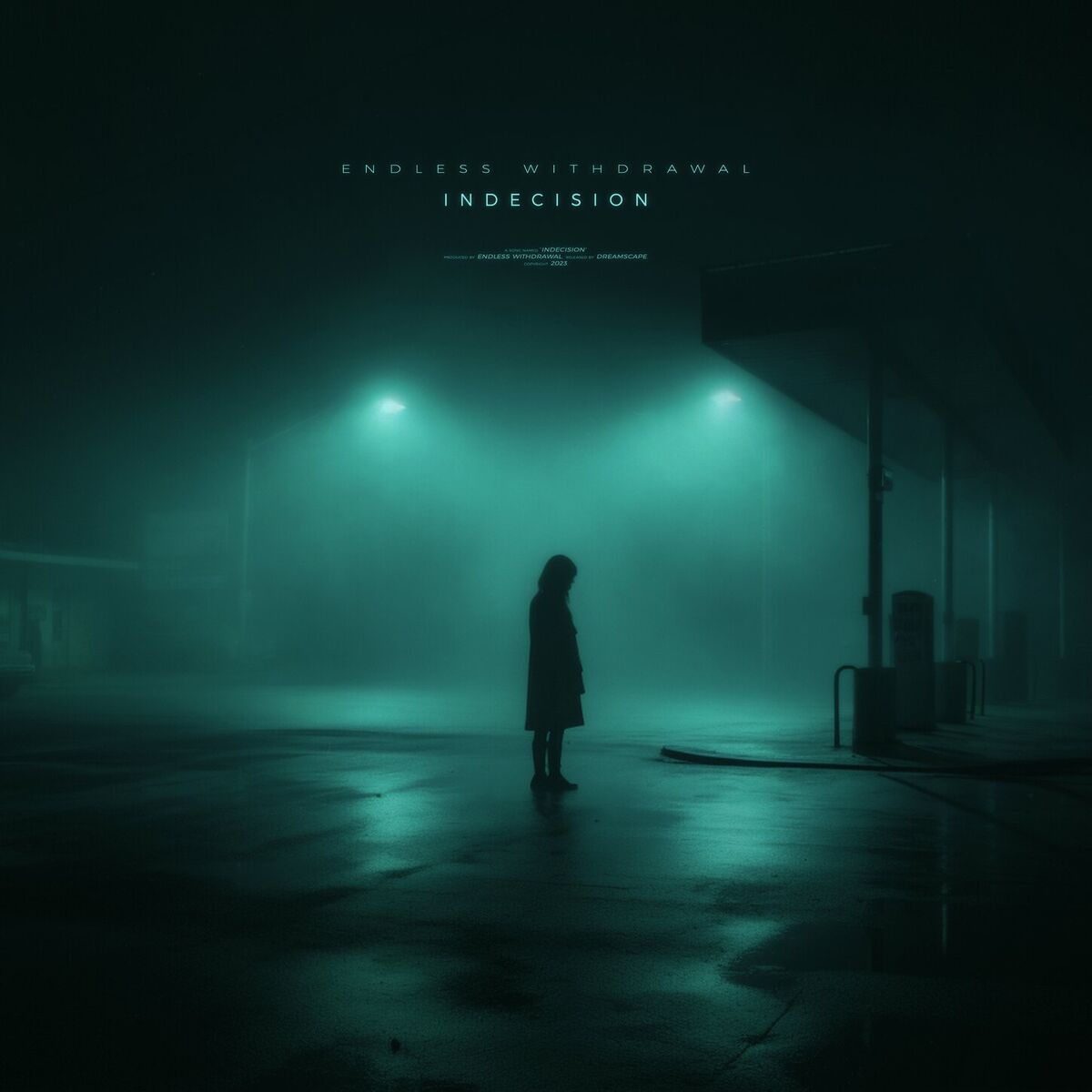 Album cover of indecision