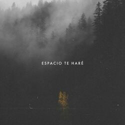 Cover of Espacio Te Haré