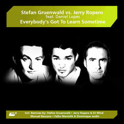 Cover of Everybody's Got to Learn Sometime