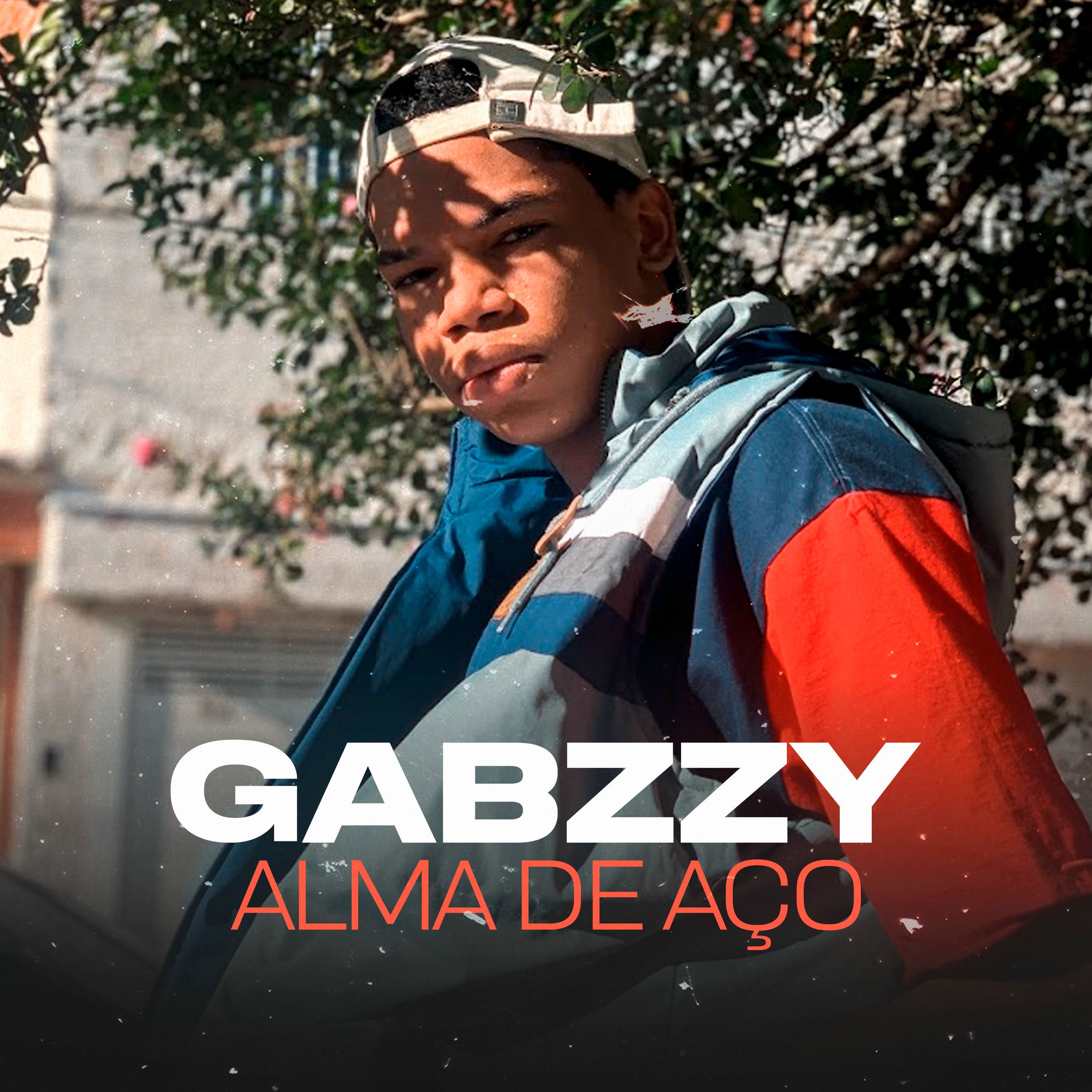 Album cover of Alma de Aço