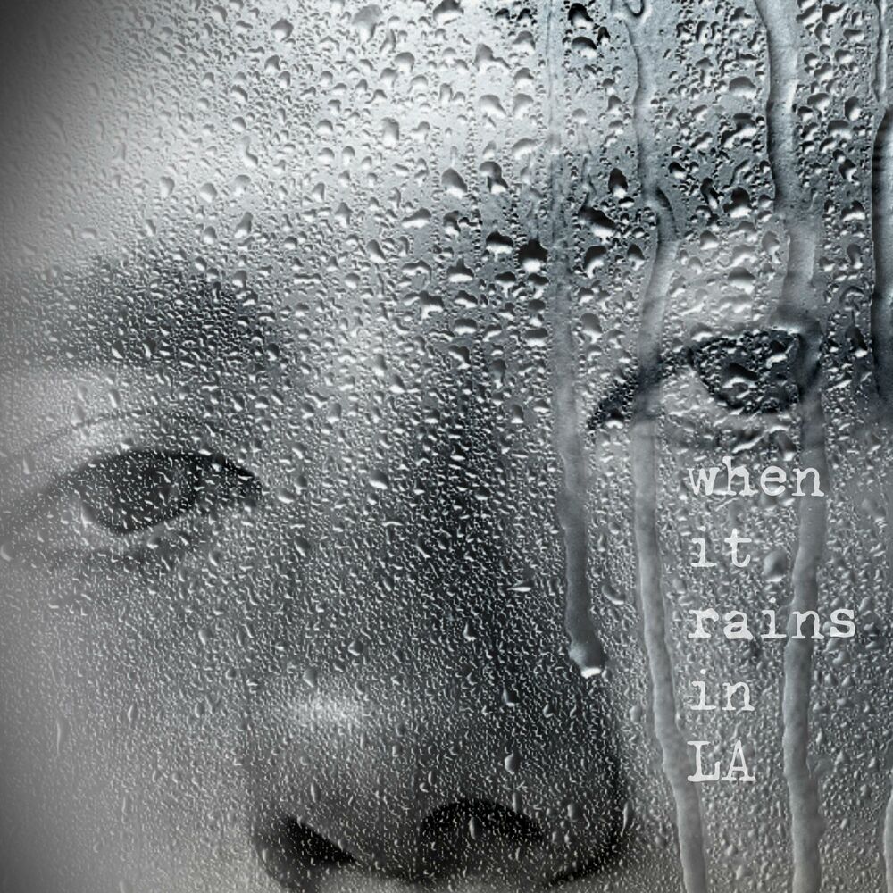 Picture of WHEN IT RAINS IN LA