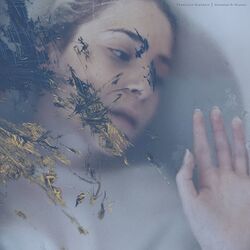 Cover of Destroyed by Madness