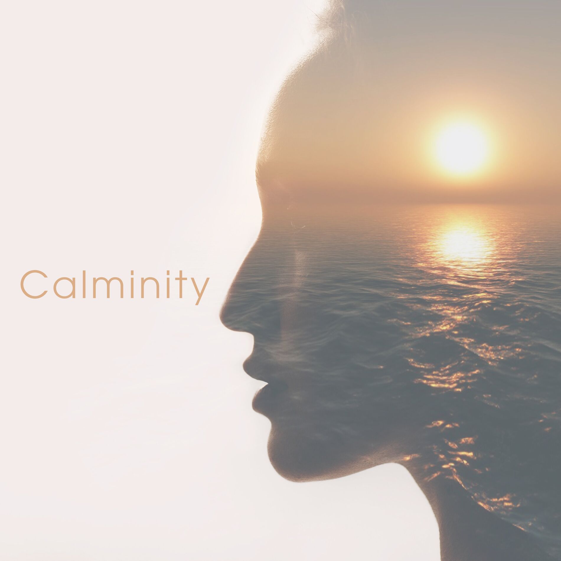 Album cover of Shallow