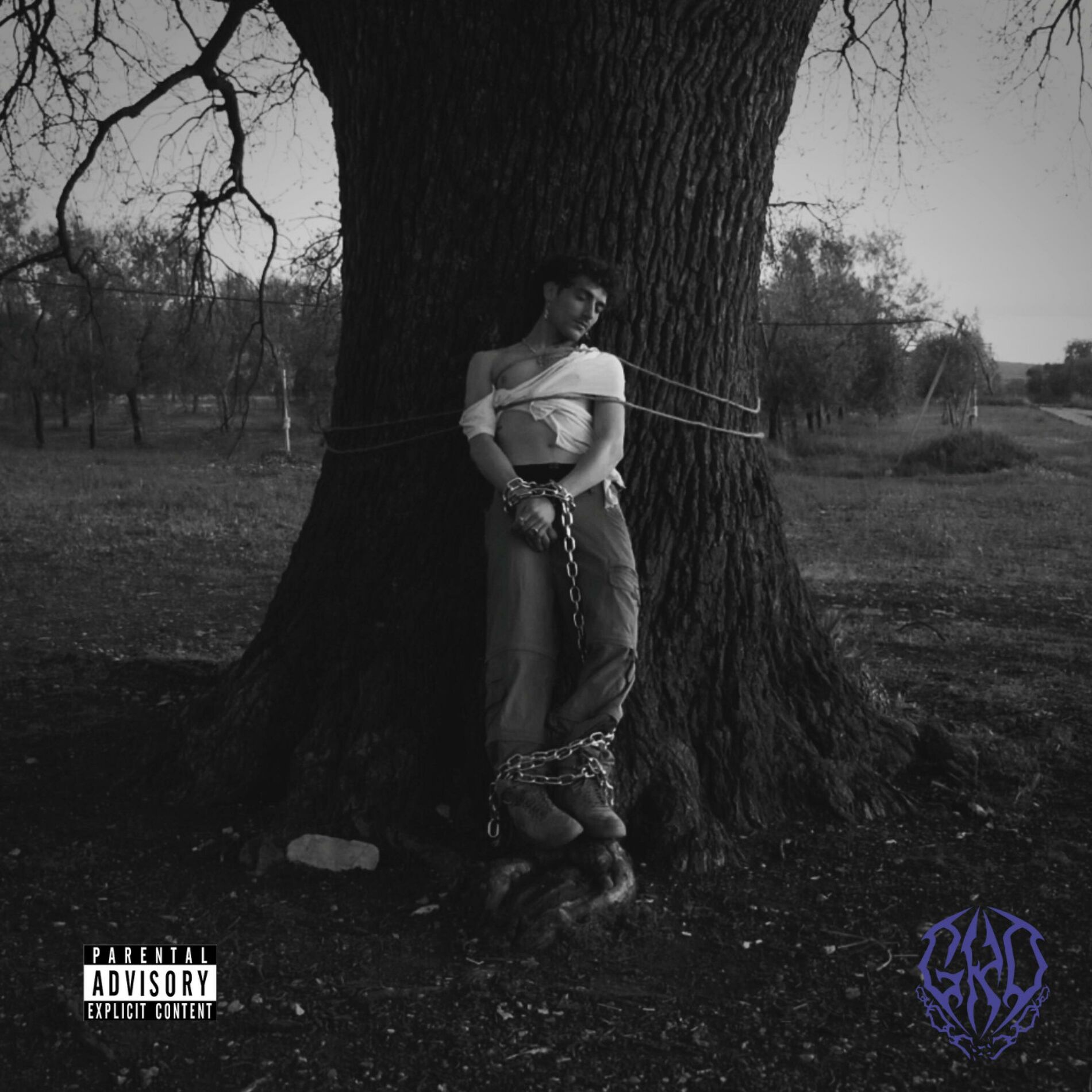 Album cover of FAMILY