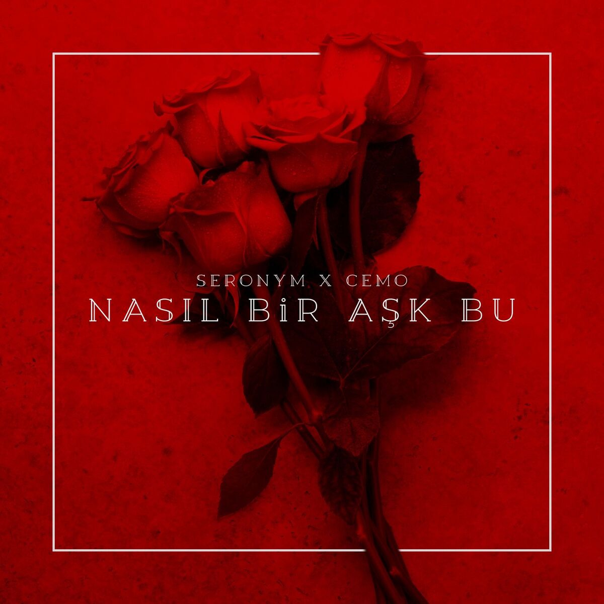Album cover of Nasıl bir aşk bu