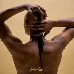Cover of Running