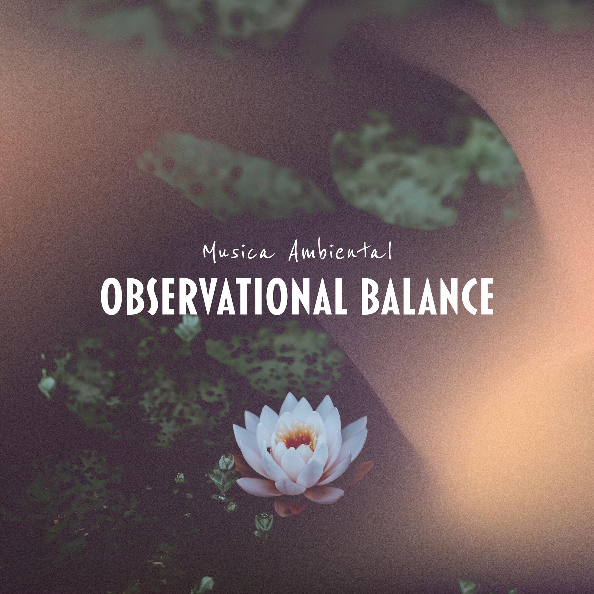 Album cover of Observational Balance