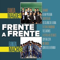 Cover of Frente a Frente