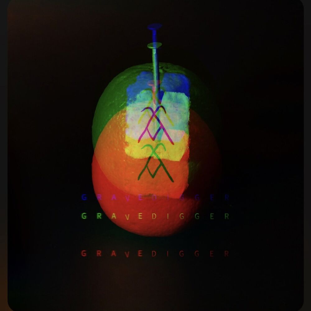 Picture of Gravedigger (Swear Words Remix)