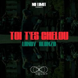 Cover of Toi t'es chelou