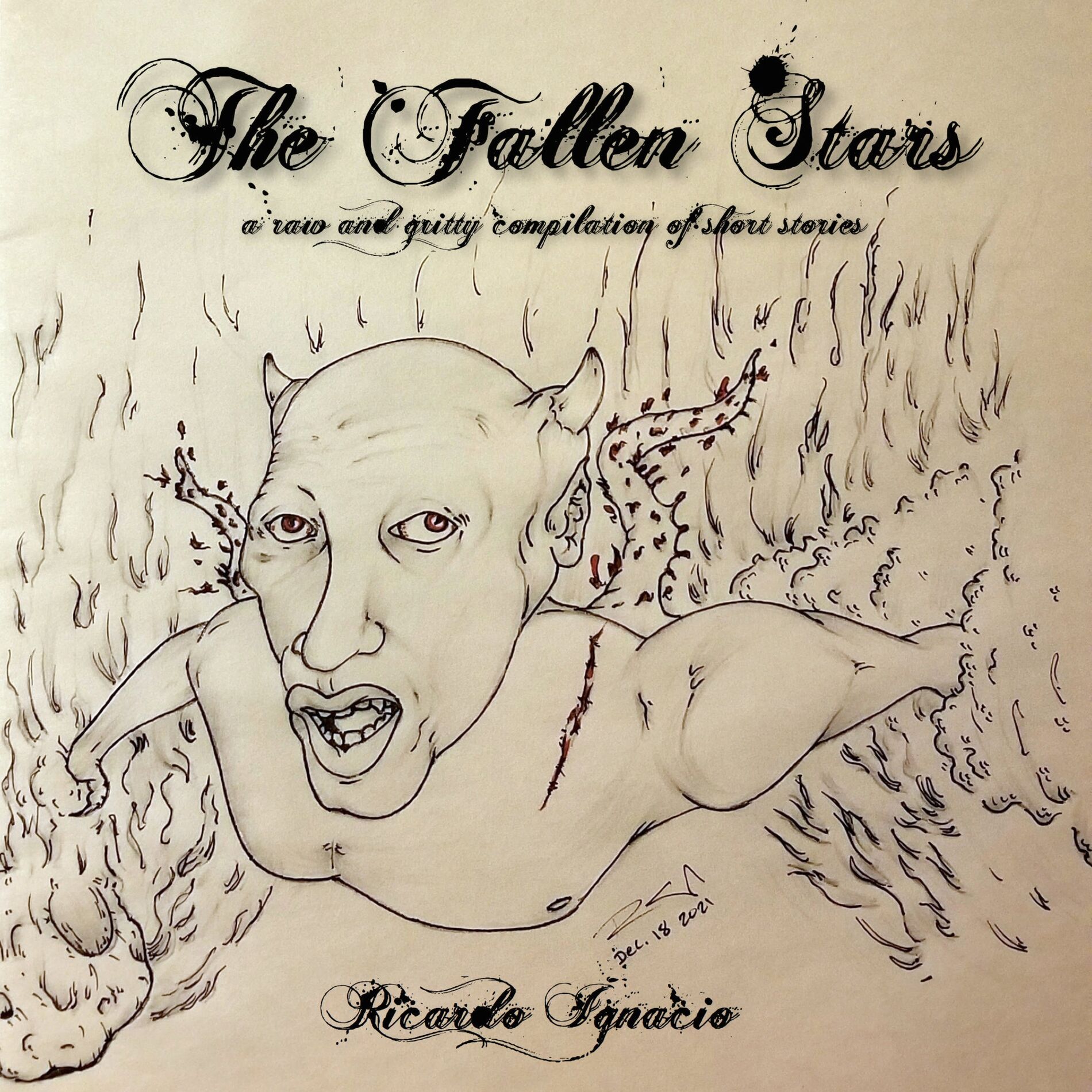 Album cover of The Fallen Stars: A Raw And Gritty Compilation Of Short Stories