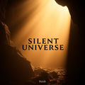 Silent Universe