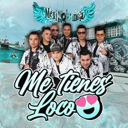 Cover of Me Tienes Loco