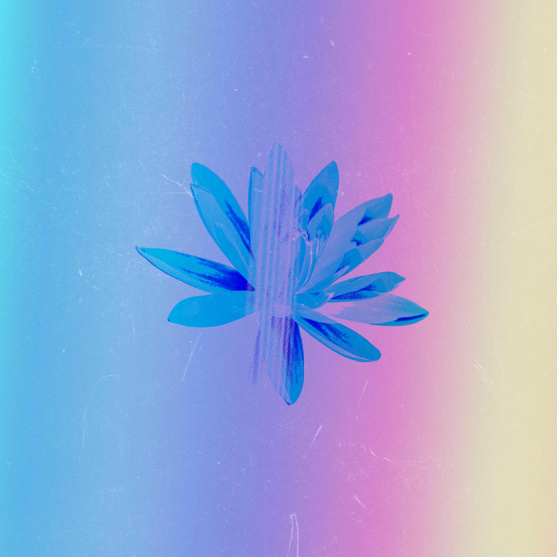 Album cover of Monarch / Europa