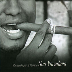 Cover of Paseando por la Habana