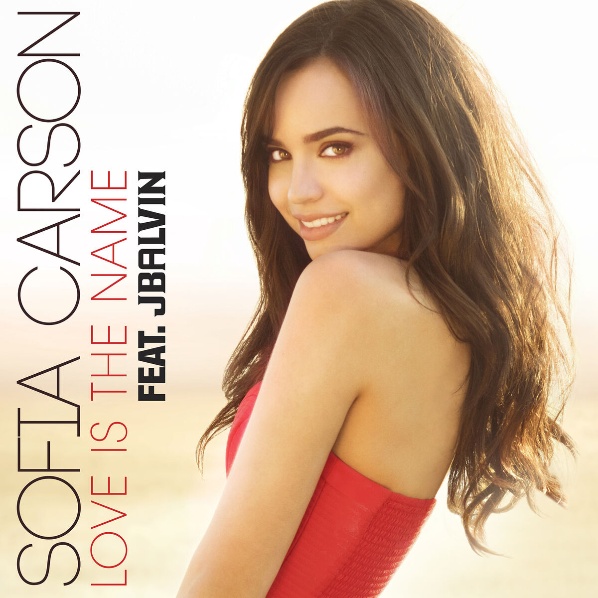 Album cover of Love Is the Name