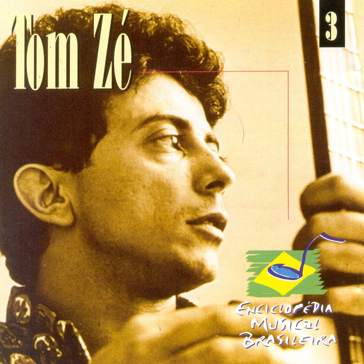 Album cover of Enciclopedia Musical Brasileira