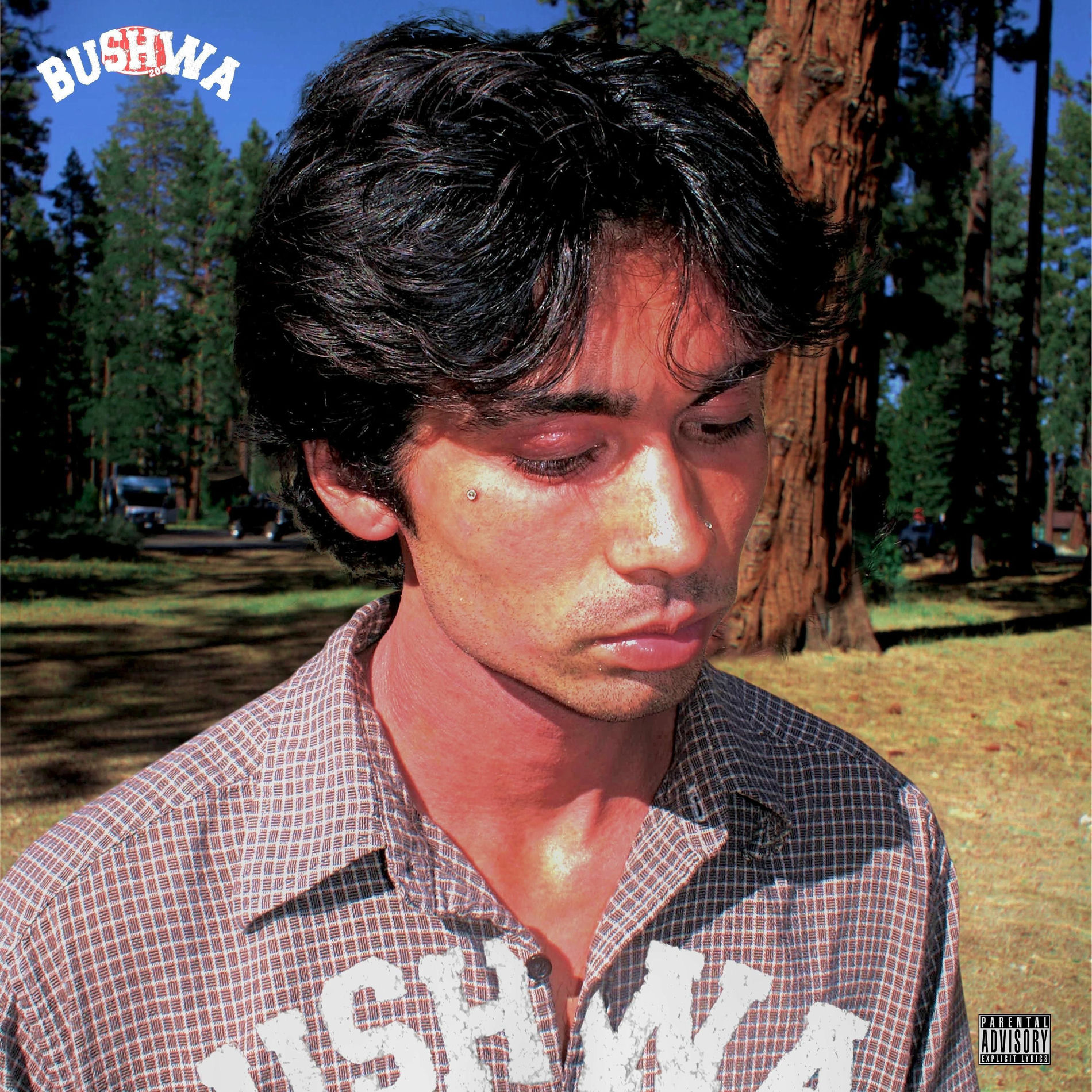 Album cover of BUSHWA (Deluxe)
