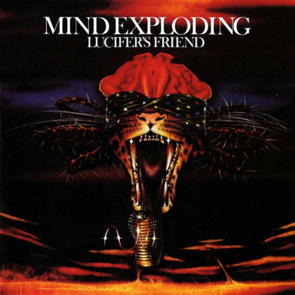 Picture of Mind Exploding