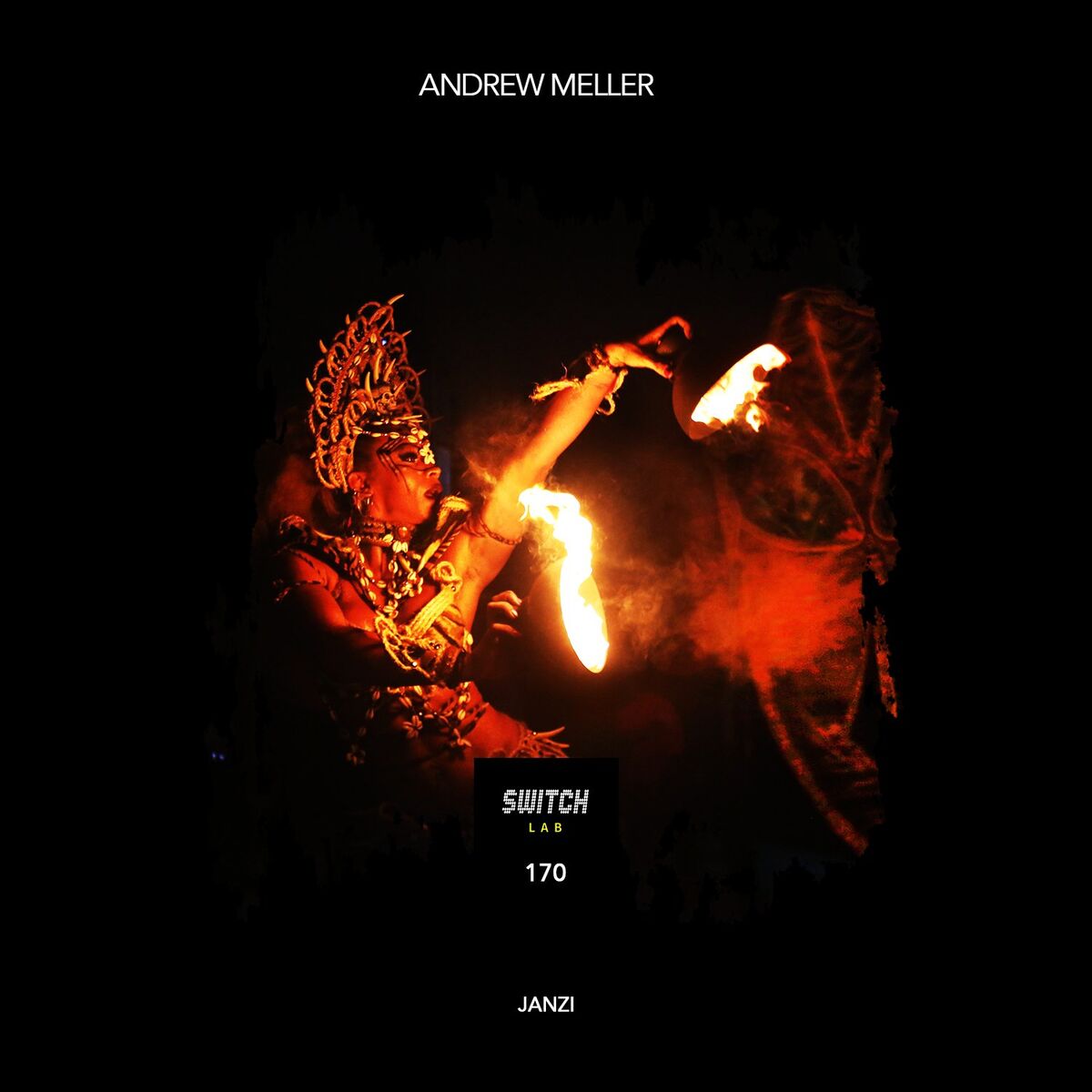 Album cover of Janzi