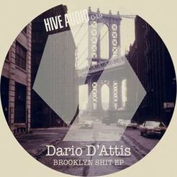 Cover of Brooklyn Shit EP