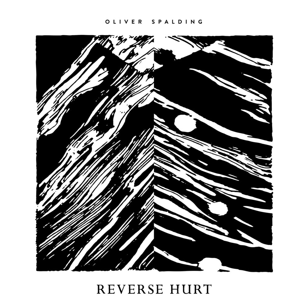 Picture of Reverse Hurt