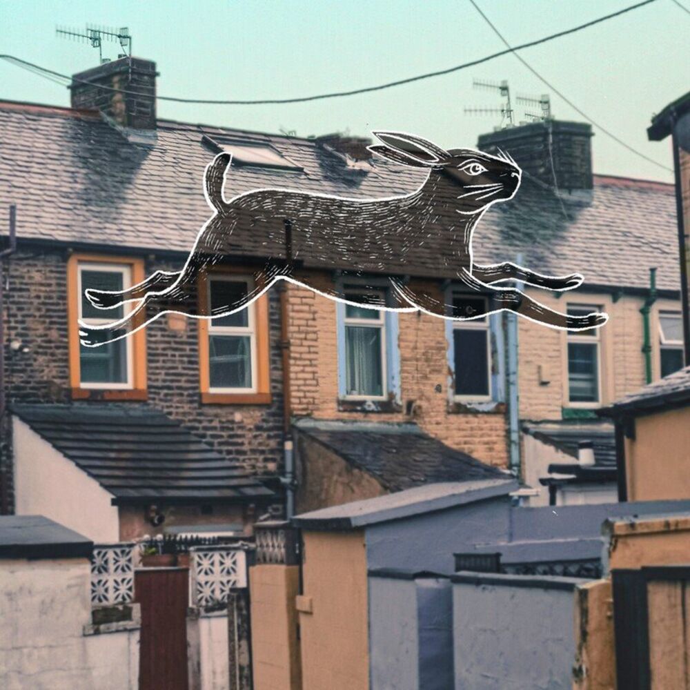 Picture of Rabbit