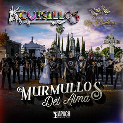 Cover of Murmullos Del Alma (Cuando Dos Almas, Te Vas Ángel Mío, Amor Eterno)