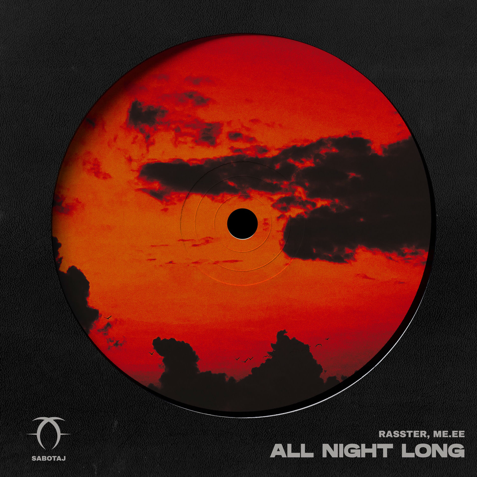 Album cover of All Night Long
