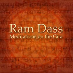 Cover of Meditations On The Gita