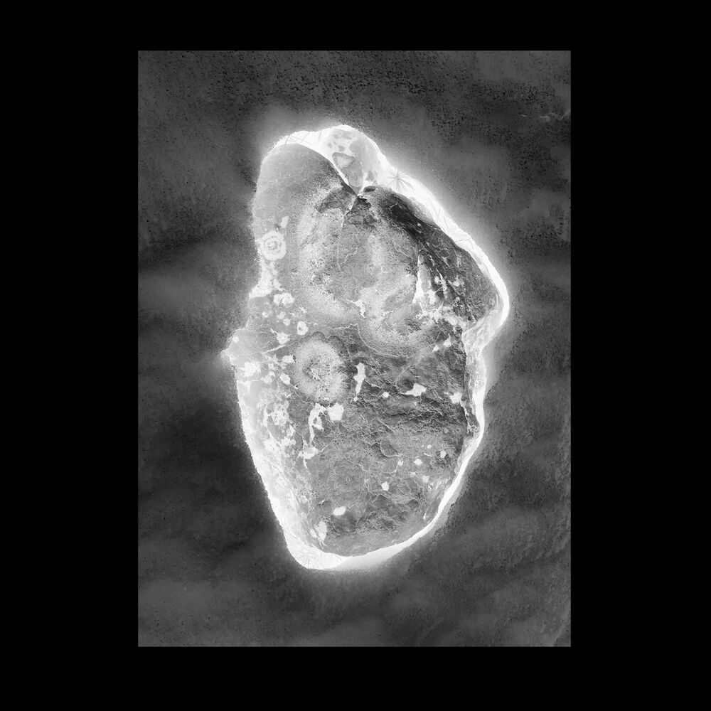 Picture of In Vitro
