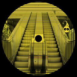 Cover of Static Structure Porn