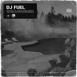 Cover of Ashes