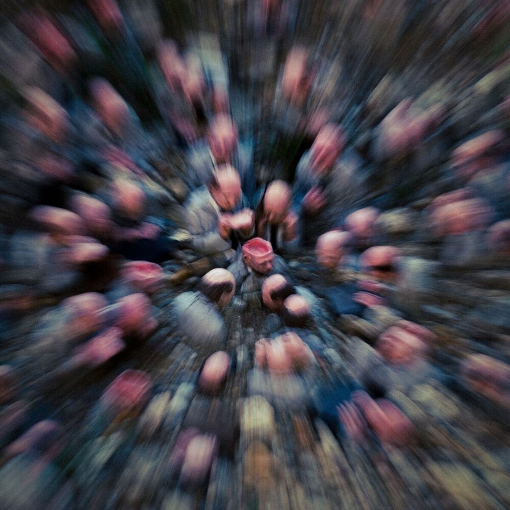 Picture of Gravity